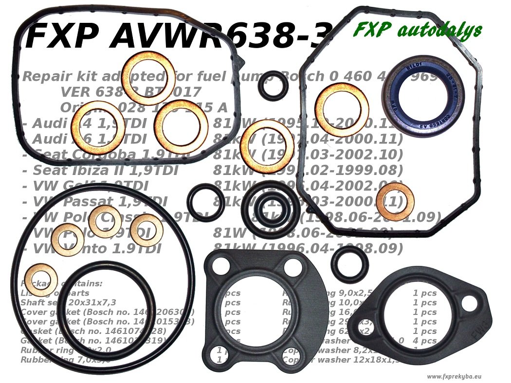 Fuel pomp09e Bosch 0 460 404 969 repair KIT