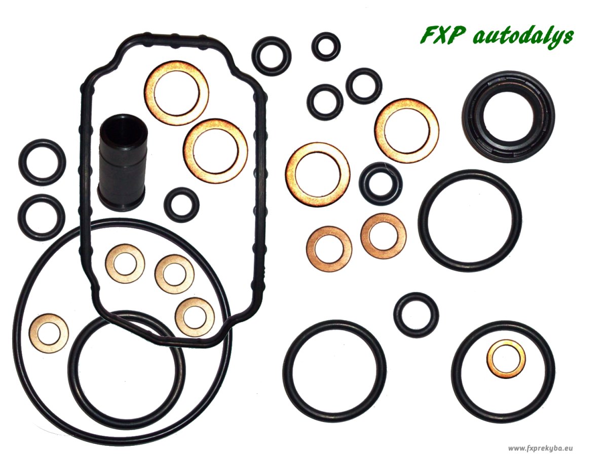 Fuel pompe 0 460 494 466