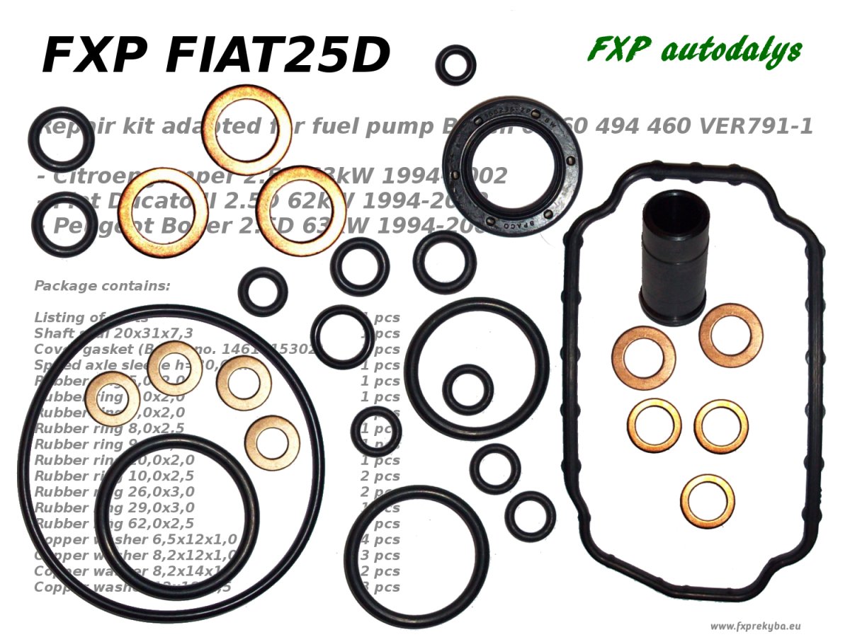 Fuel pompe 0 460 494 460 repair KIT